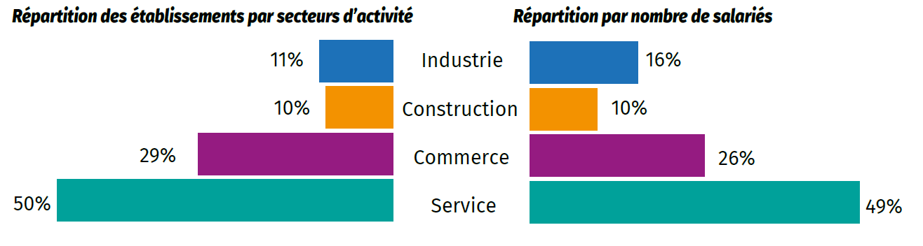 Répartition des établissements du RCS par secteur d'activité