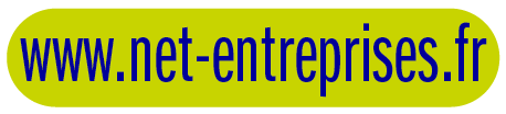 bouton net entreprises