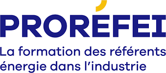 Logo PROREFEI