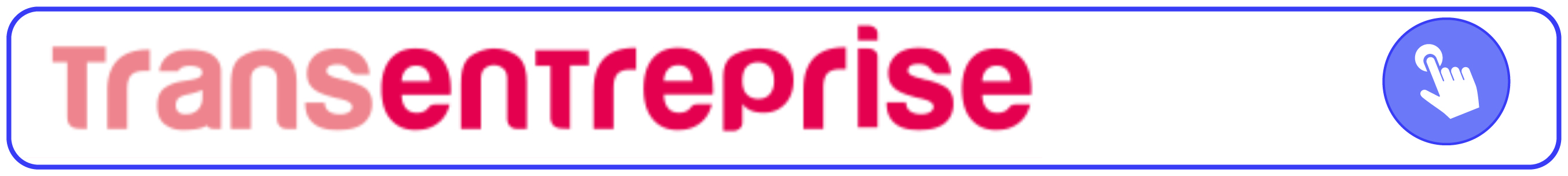 Transentreprise