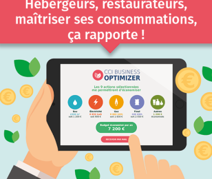 CCO BUSINESS OPTIMIZER